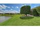 Beautifully landscaped backyard with lush green grass, decorative shrubs, and a tranquil pond at 4181 Brittany Ln # 25, Sarasota, FL 34233