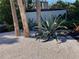Well-maintained front yard with lush landscaping and palm trees, offering curb appeal at 4408 Midnight Pass Rd, Sarasota, FL 34242