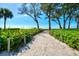 Beautiful beach access surrounded by lush greenery at 5055 Gulf Of Mexico Dr # 115, Longboat Key, FL 34228