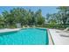 The community pool is surrounded by well-maintained landscaping and lounge chairs at 515 Spring Lakes Blvd # 515, Bradenton, FL 34210