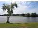 Open view of the lake from shoreline at 515 Spring Lakes Blvd # 515, Bradenton, FL 34210