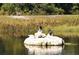 Water birds stand on rocks in a sunny pond with grasses in the background at 5270 Far Oak Cir, Sarasota, FL 34238