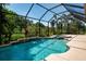 Inviting screened-in pool and spa area with lush tropical landscaping for a private, outdoor retreat at 12841 Balsam Ter, Bradenton, FL 34212