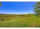 Expansive green backyard under a clear blue sky, with natural surroundings at 17675 Azul Dr, Lakewood Ranch, FL 34202