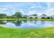 Scenic view of a tranquil pond surrounded by lush greenery at 2628 Sapphire Blue Ln, Bradenton, FL 34211