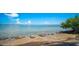 Rocky waterfront on a sunny day with clear water, mangroves, and clear blue skies at 322 S Washington Dr, Sarasota, FL 34236