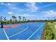 Outdoor basketball court with bright blue surface, palm trees, and well-maintained landscaping at 5406 Coral Reef Way, Lakewood Ranch, FL 34211