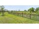 Backyard with a well-maintained lawn, black fence, and natural landscaping at 5406 Coral Reef Way, Lakewood Ranch, FL 34211
