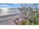 Beach with sandy shore, clear water, and lush vegetation, offering a tranquil coastal experience at 8555 Heron Lagoon Cir, Sarasota, FL 34242