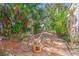 Landscaped backyard with a pathway and lush greenery at 107 Nippino W Trl, Nokomis, FL 34275