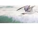 Seagull flying over the ocean in search of its next meal at 107 Nippino W Trl, Nokomis, FL 34275