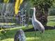Sandhill crane in the yard near the pond, with decorative yard art and palm trees at 1410 Livingston Rd, Lutz, FL 33559