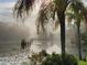 Calm lake on a foggy morning, creating a peaceful and serene atmosphere at 1410 Livingston Rd, Lutz, FL 33559
