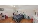 Comfortable bedroom with hardwood floors, a ceiling fan, a closet, and a window with shutter blinds at 2220 Palm Ter, Sarasota, FL 34231
