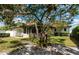 Lush backyard with a large shade tree, manicured lawn, and screened-in porch, ideal for outdoor living at 2305 Riverview Blvd, Bradenton, FL 34205