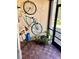 Cozy patio space with a bicycle mounted on the wall and various potted plants at 2601 Pine Lake Ter # B, Sarasota, FL 34237