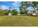 Expansive backyard with lush green grass, mature trees, and a charming shed at 320 25Th W St, Bradenton, FL 34205