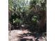 Picturesque nature trail with lush greenery and dappled sunlight, perfect for peaceful walks at 3901 30Th S Ave, St Petersburg, FL 33711