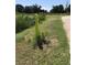 A pathway next to the grass with a sign that says 'Eat a Well Rounded Diet' at 3901 30Th S Ave, St Petersburg, FL 33711