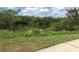 Beautiful view of a tranquil pond surrounded by dense greenery, a serene setting offering a peaceful escape and natural beauty at 3901 30Th S Ave, St Petersburg, FL 33711