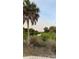 A view of the water with palm trees and mangroves at 3901 30Th S Ave, St Petersburg, FL 33711