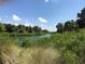 Lush green vegetation surrounds a waterway under a sunny blue sky filled with puffy white clouds at 3901 30Th S Ave, St Petersburg, FL 33711