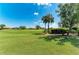 Backyard with mature trees providing shade on the lush, green lawn at 4607 Benito Ct, Bradenton, FL 34211