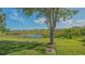 Scenic backyard view of a tranquil pond and lush greenery, shaded by a mature tree at 5934 Guarino Dr, Sarasota, FL 34238