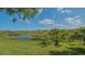 Peaceful backyard showcasing a serene pond surrounded by natural vegetation and a clear blue sky at 5934 Guarino Dr, Sarasota, FL 34238