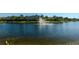 Scenic pond with a fountain and palm trees, offering a tranquil view at 7685 Plantation Cir # B, University Park, FL 34201