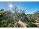 Overhead view of the green space around the complex with large trees and brick walkways at 1500 Cove Ii Pl # 524, Sarasota, FL 34242