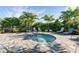Relaxing spa area surrounded by tropical landscaping and lounge chairs, perfect for unwinding in paradise at 4625 Foxtail Dr, Parrish, FL 34219