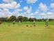 Scenic golf course features manicured greens, lush trees, and a bright blue sky with fluffy white clouds at 5630 Golf Pointe Dr # 108, Sarasota, FL 34243