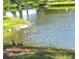 Peaceful pond with grassy banks and a Gathering of ducks enjoying the calm water at 7334 Regina Royale # 74, Sarasota, FL 34238