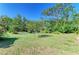 The spacious backyard boasts a lush lawn and mature trees, creating a serene outdoor retreat at 906 134Th E St, Bradenton, FL 34212