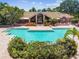Community pool area with a sun-soaked pool and inviting landscaping at 10265 Gandy N Blvd # 1004, St Petersburg, FL 33702