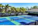 Well-maintained community tennis courts with lush landscaping and clear skies at 12710 Coastal Breeze Way, Bradenton, FL 34211