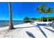 Picturesque white sand beach with palm trees and lounge chairs offers a relaxing waterfront retreat at 319 Compass Point Dr # 201, Bradenton, FL 34209