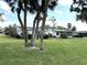 Tranquil yard featuring a few palm trees and lush green grass surrounding well-maintained homes at 3321 Fuller St # 105, Sarasota, FL 34231