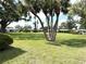 Beautifully landscaped community with lush green grass and mature trees, creating a serene setting at 3321 Fuller St # 105, Sarasota, FL 34231
