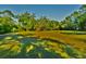 A large expanse of lush green lawn extends from a small, quaint home deep into a dense forest at 3406 67Th Street E Ct, Bradenton, FL 34208
