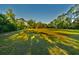 A long view across a green lawn to a tree-lined forest surrounding a small home at 3406 67Th Street E Ct, Bradenton, FL 34208