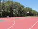 Community basketball court surrounded by tall trees and well lit at 406 Petrel Trl, Bradenton, FL 34212