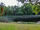 Scenic view of the pond with lush greenery and natural landscape surrounding the property at 406 Petrel Trl, Bradenton, FL 34212