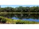 Scenic view of the pond surrounded by lush greenery and reflective water at 406 Petrel Trl, Bradenton, FL 34212
