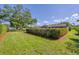 A lush green lawn and manicured hedges are featured in this beautiful backyard with a large tree, under a brilliant blue sky at 4806 Huntleigh Dr, Sarasota, FL 34233