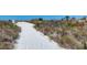 Sandy pathway leading to the beach, surrounded by lush greenery and vegetation, offering a serene entrance at 625 Beach Rd # 207, Sarasota, FL 34242
