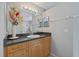 Well-lit bathroom features a vanity with ample counter space and decorative elements at 7145 Mamouth St, Englewood, FL 34224