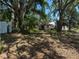Overgrown yard with mature trees and small shed at 1220 12Th W Ave, Palmetto, FL 34221