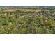 An aerial view showcasing a neighborhood with mature trees and a vast landscape at 2072 Misty Sunrise Trl, Sarasota, FL 34240